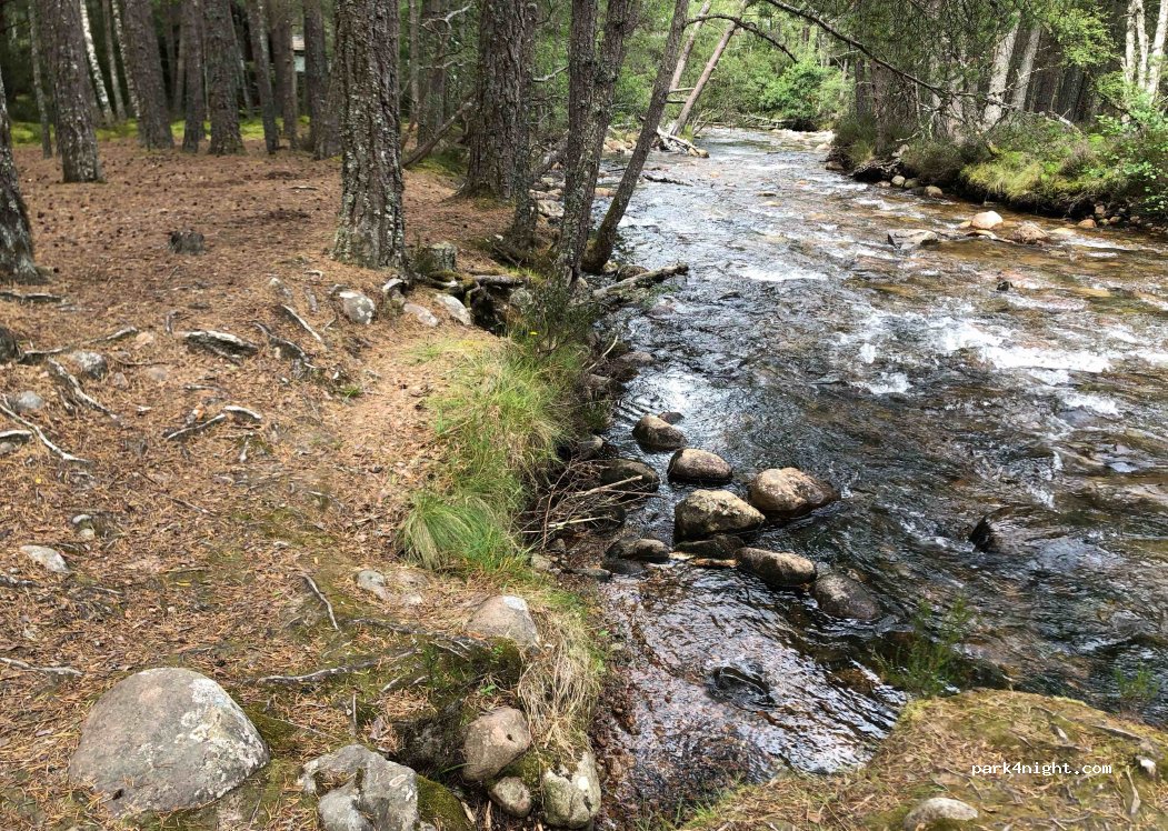 Rothiemurchus Campsite — foto