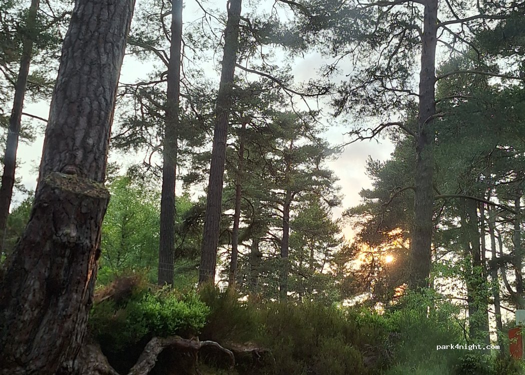 Rothiemurchus Campsite — foto 5