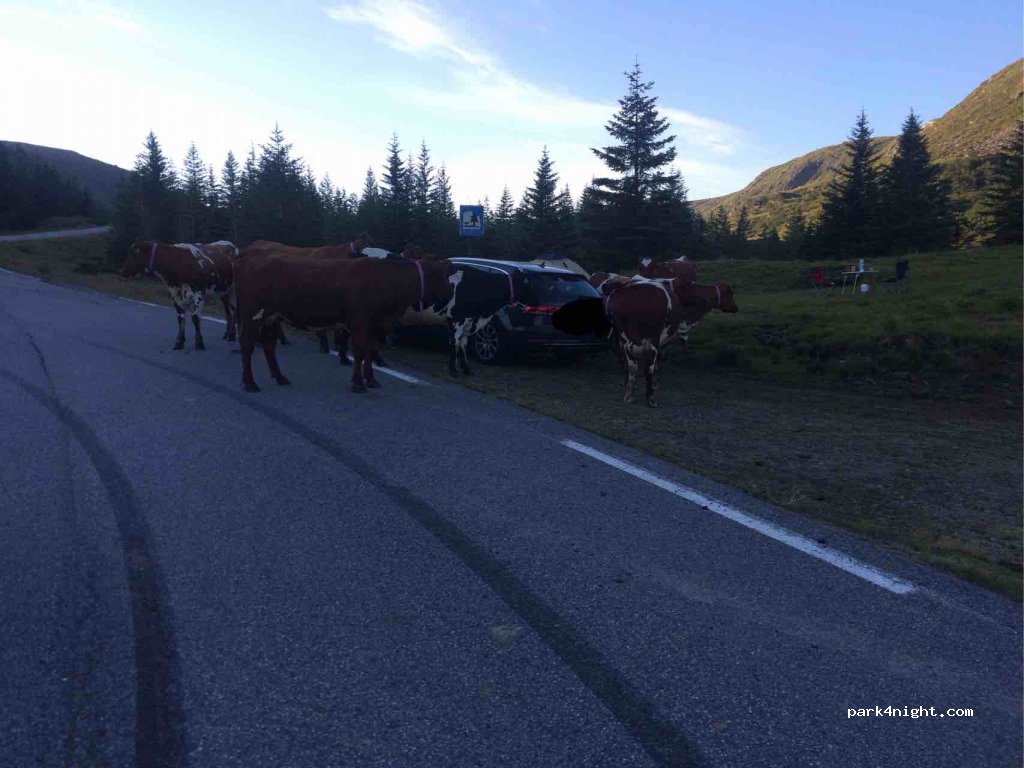 (5961)  - 1 Sekundær Fylkesveg 2 — foto 2