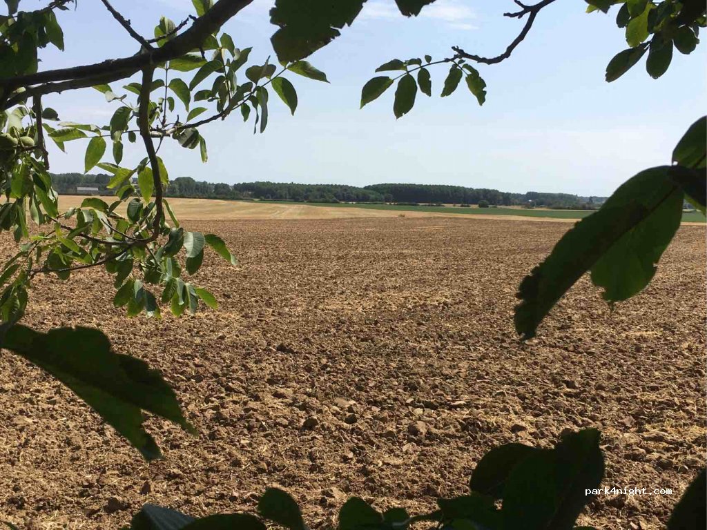 (86330) Saint-Jean-de-Sauves - D40 — foto
