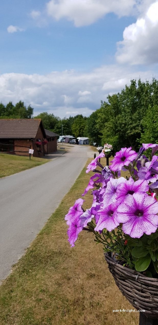 Crowborough Camping and Caravanning Club Site — foto