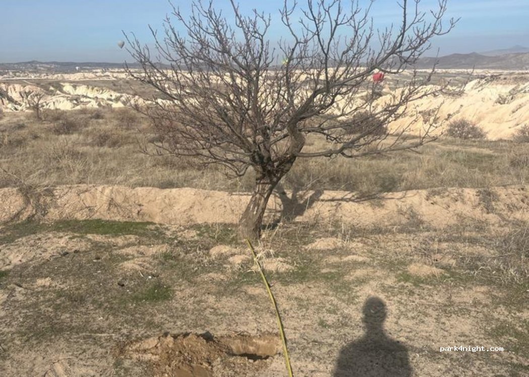 (50650) Ortahisar - Unnamed Road — foto 2