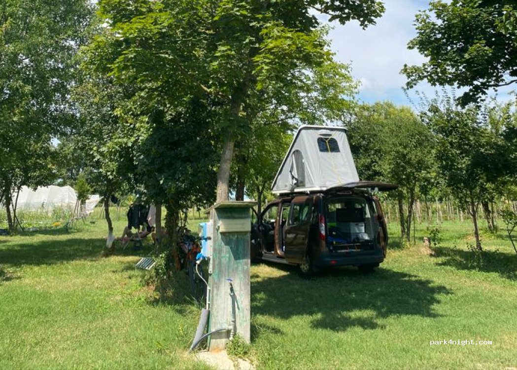 Agriturismo Biologico La Buona Terra — foto 4