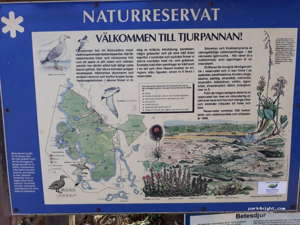 (457 95) Grebbestad - 28 LÅNGEBY — foto 3