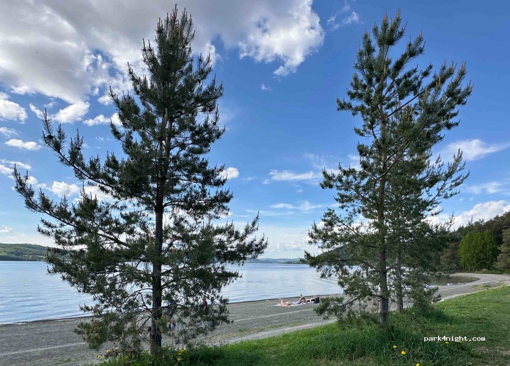 (2316) Hamar - 166 Strandvegen — foto 4
