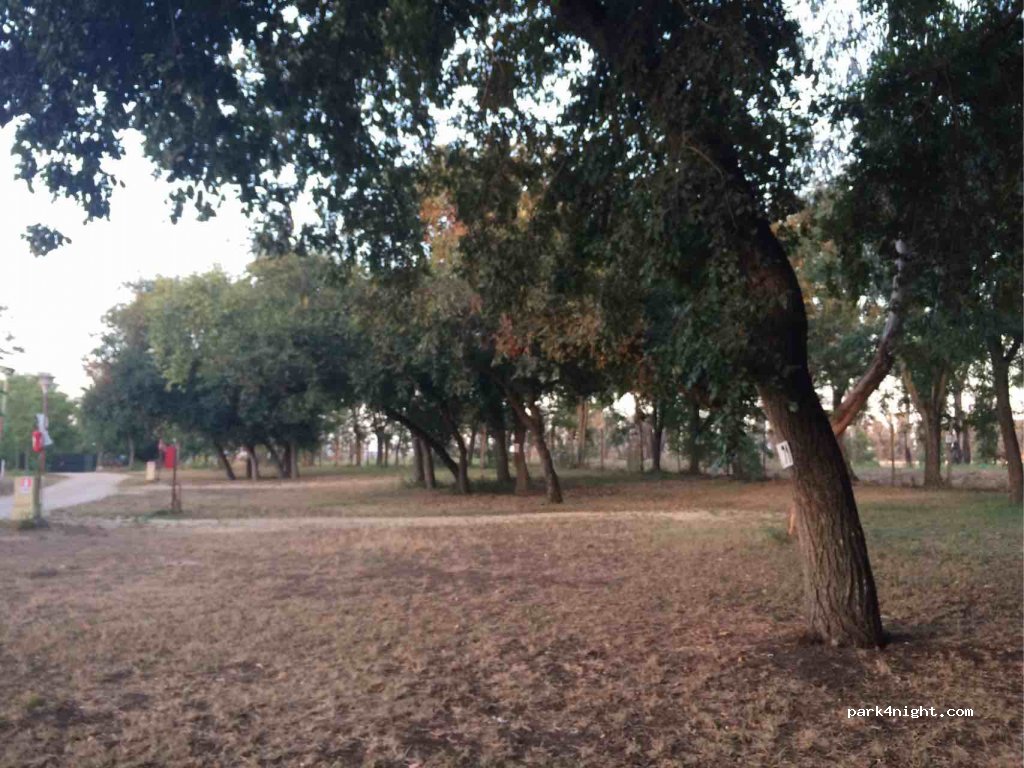 Camping marina di Roma Passoscuro — foto