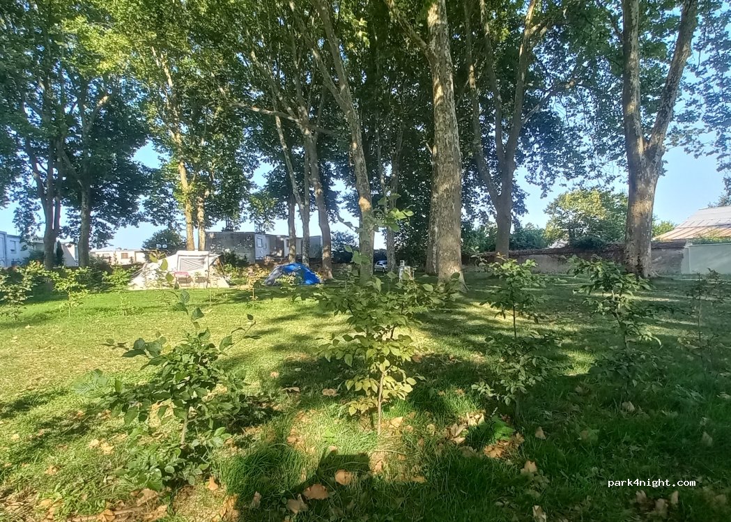 Camping de Mehun-sur-Yèvre — foto 5