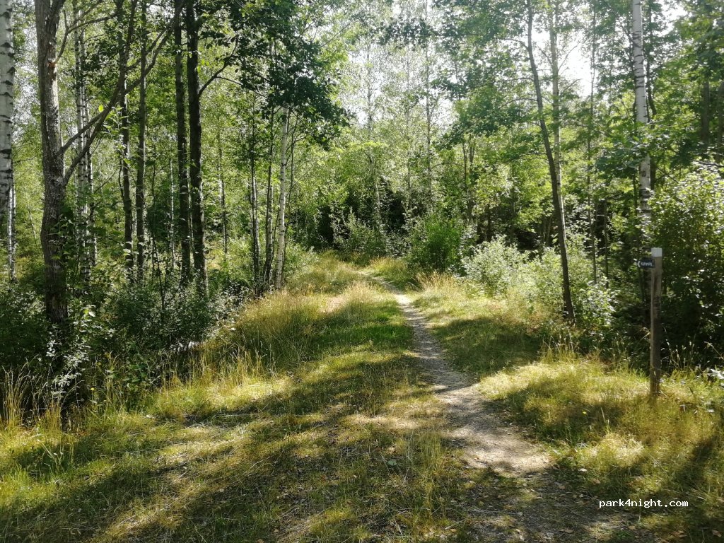 (360 50)  - Unnamed Road — foto 3