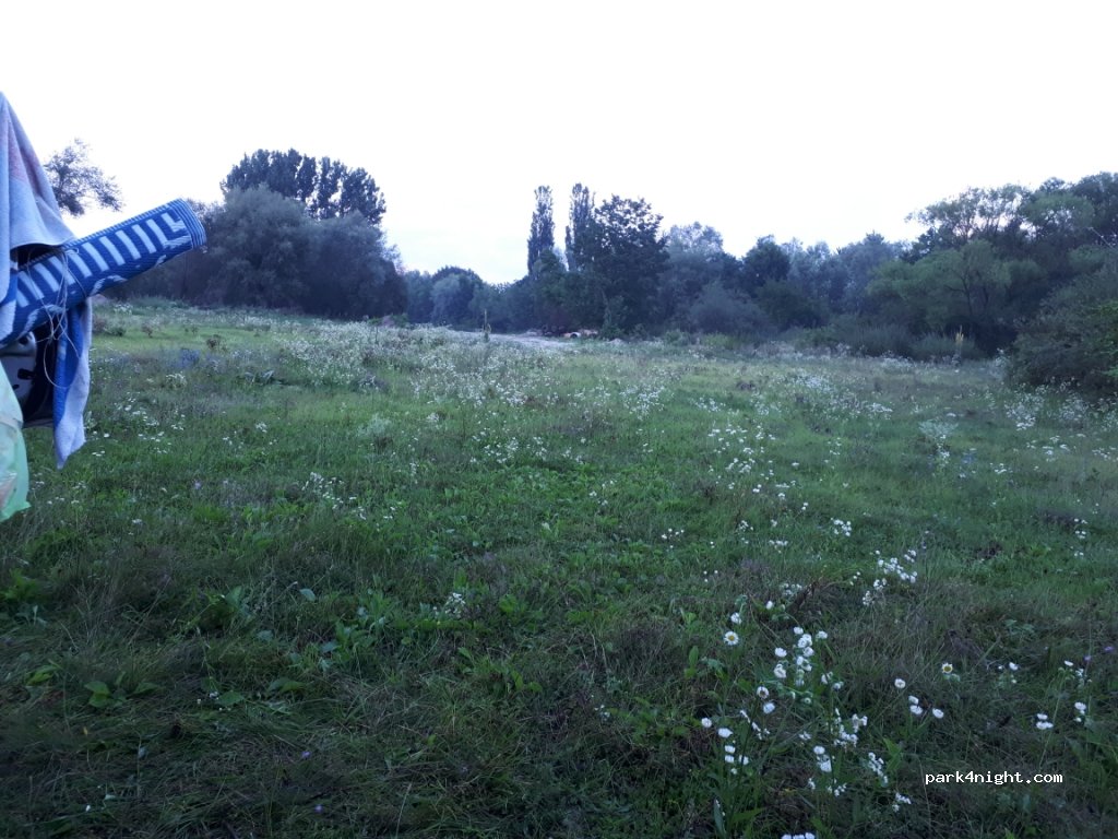 () Şoimuş - DC216 — foto 3