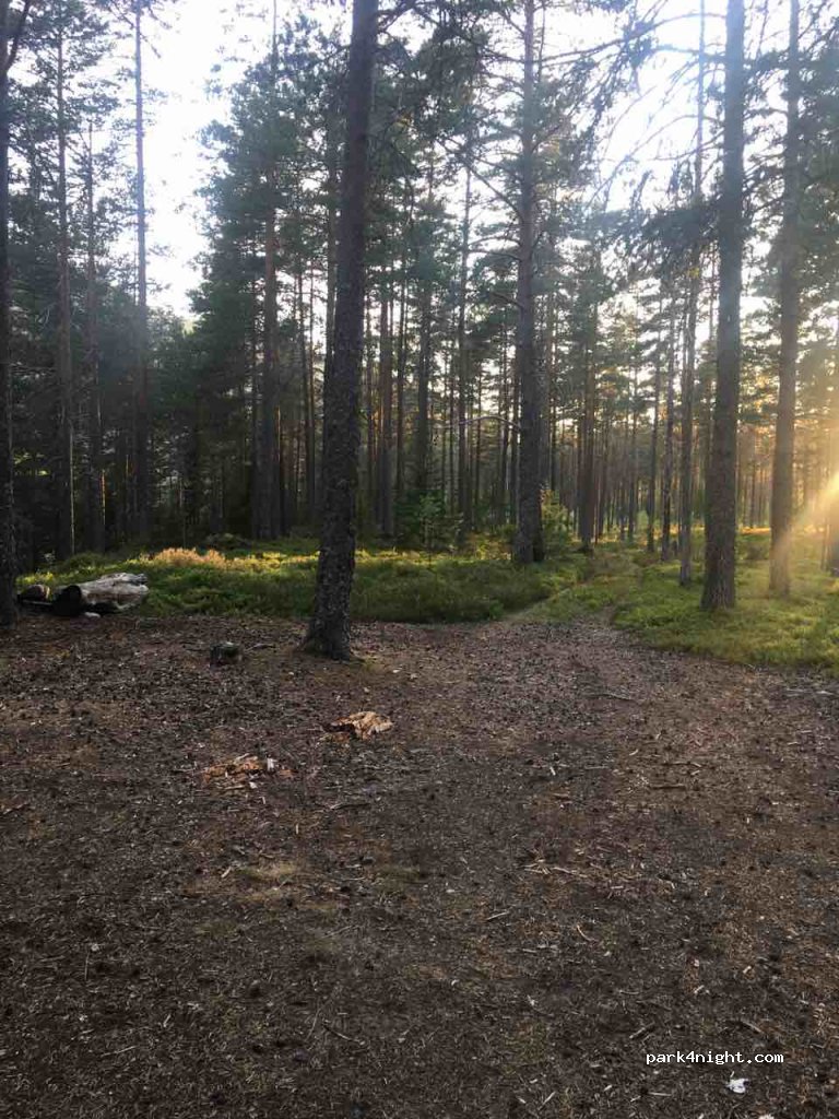 (4747)  - Riksveg 9 — foto 3