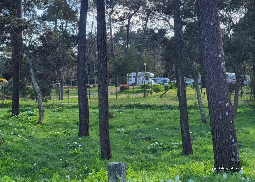 Camping ORBITUR — foto 4