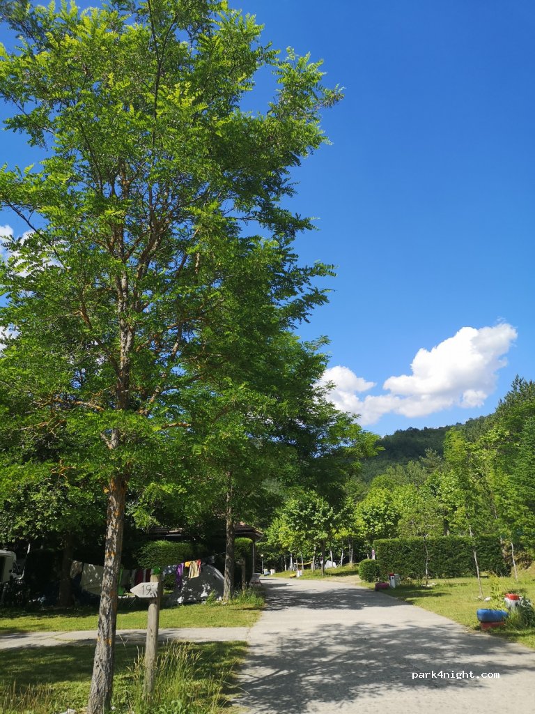 Camping Murkuzuria — foto 2