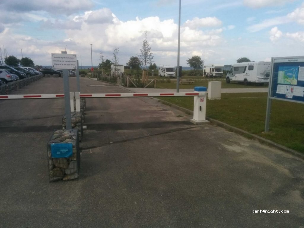 (24395) Niesgrau - 2 Ohrfeld — foto