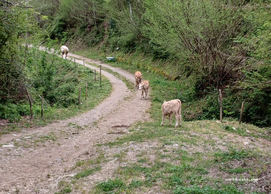 (84030) Tortorella - Unnamed Road — foto 5
