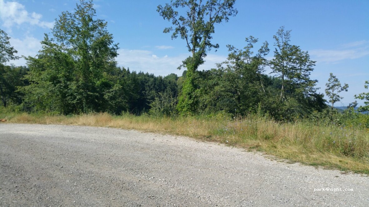 (50060) Stia - Strada Statale Stia - Londa — foto