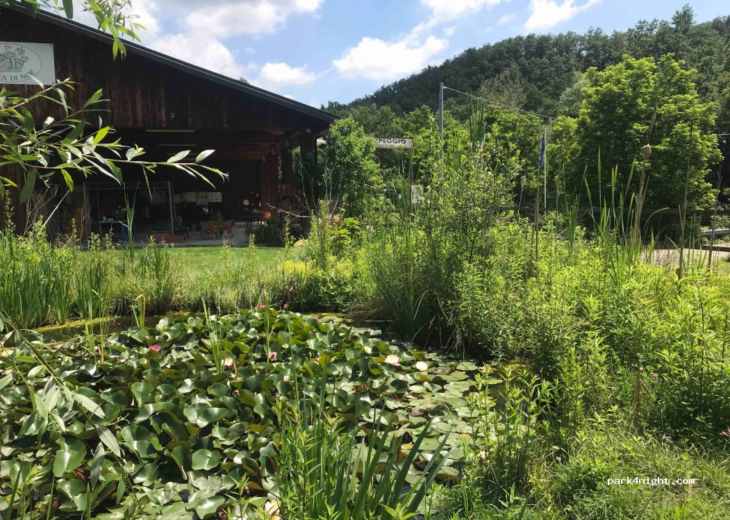 Agricamp - l'Arca di Noè — foto 4