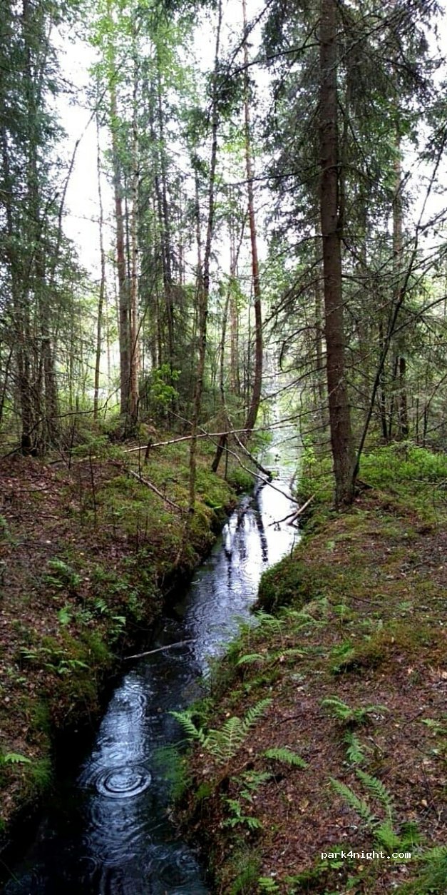 (56310)  - 122 Kummakiventie — foto