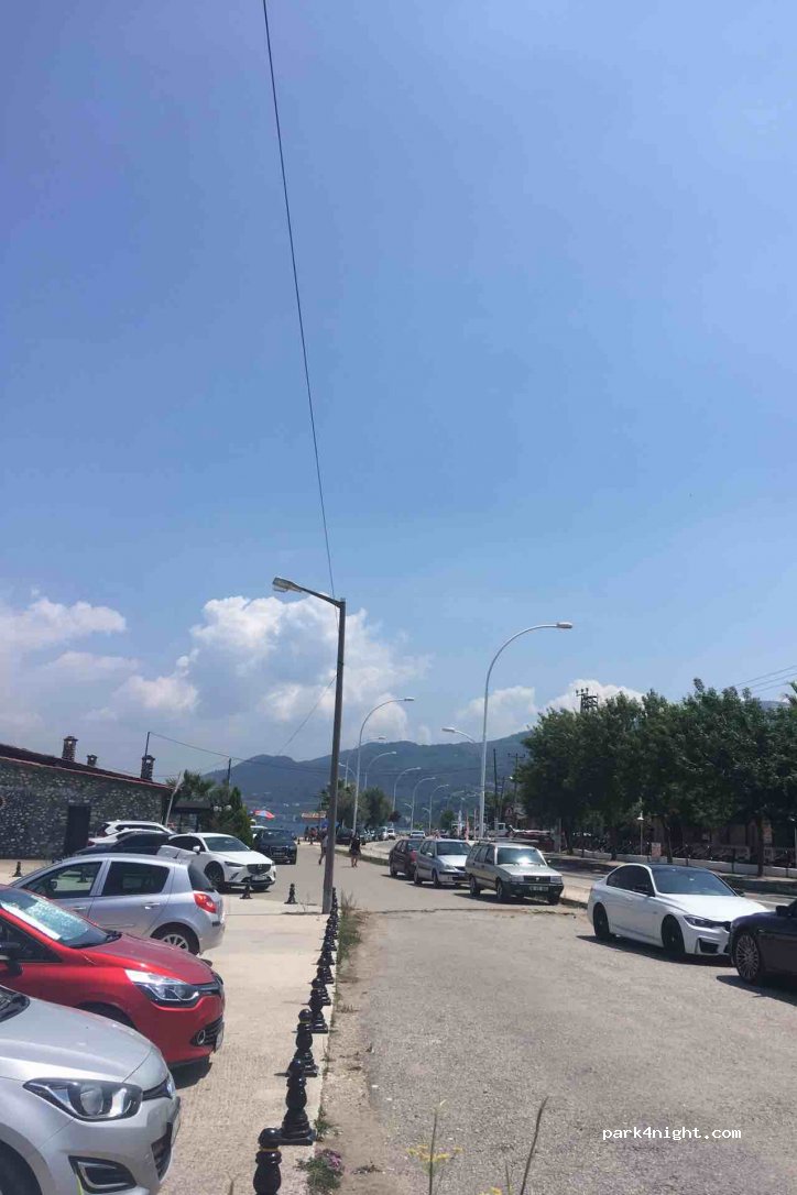 (16600)  - Gemlik Mudanya Yolu — foto 2