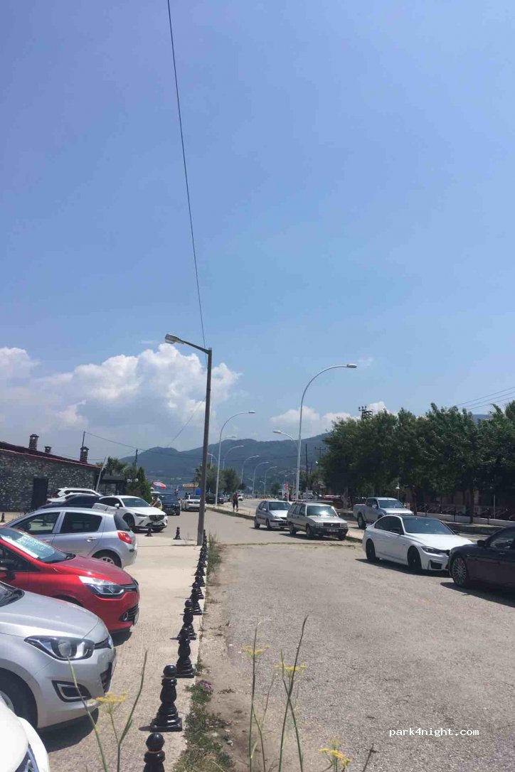 (16600)  - Gemlik Mudanya Yolu — foto 3