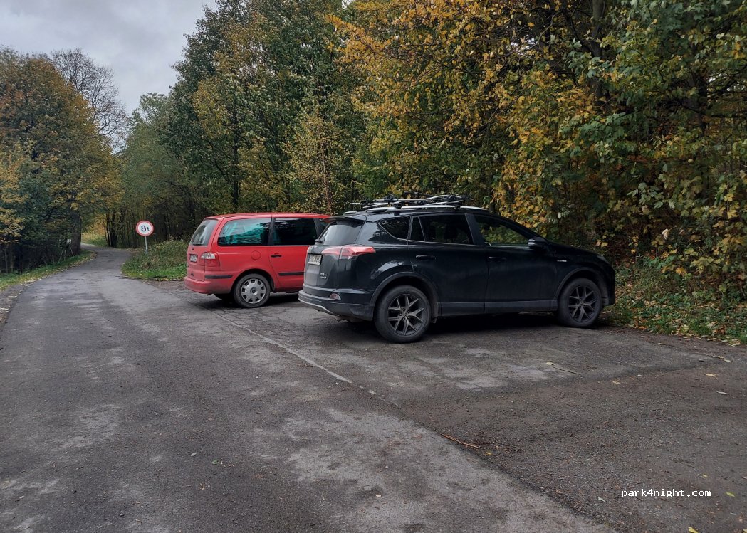 (58-520)  - 48 Mniszków — foto