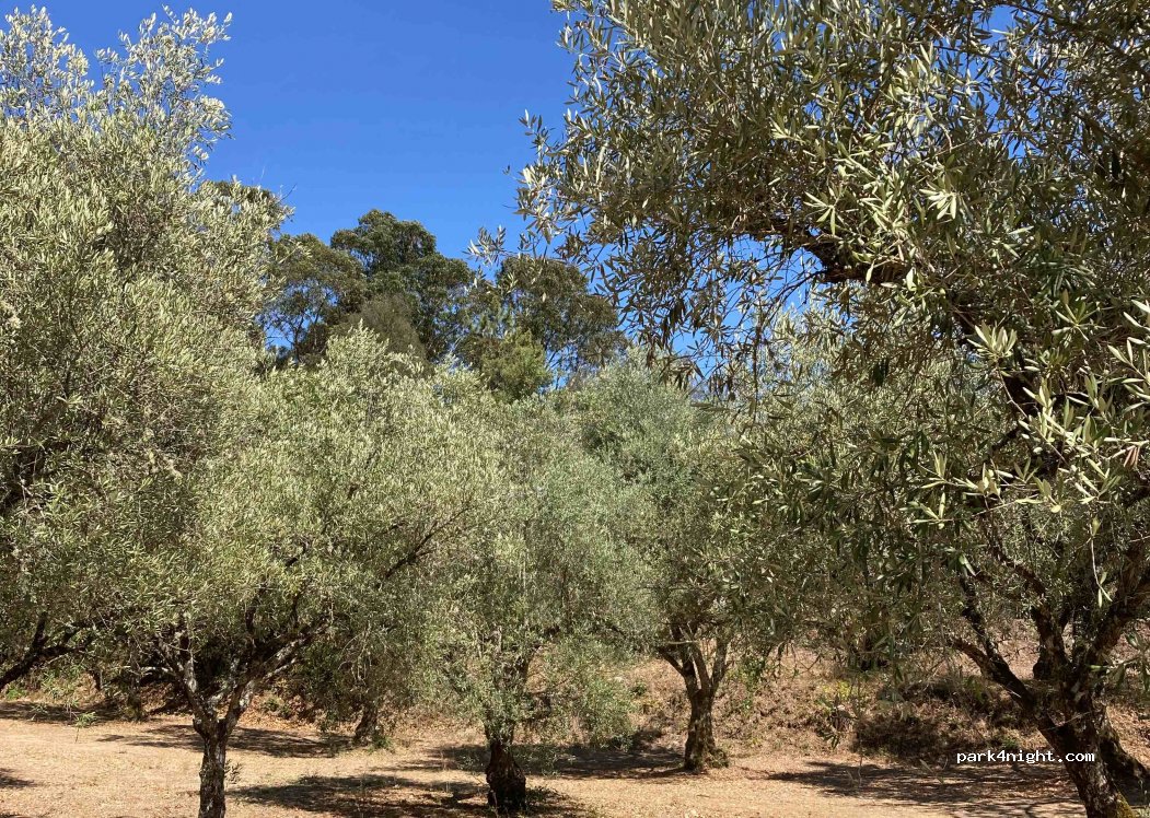 Quinta da Cerca — foto 3
