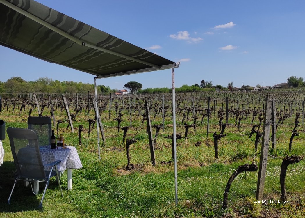 Une nuit au calme entre vigne et safran — foto 4