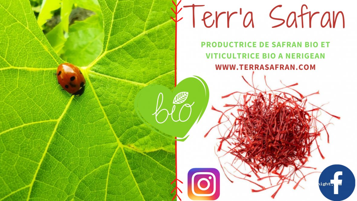 Une nuit au calme entre vigne et safran — foto 5