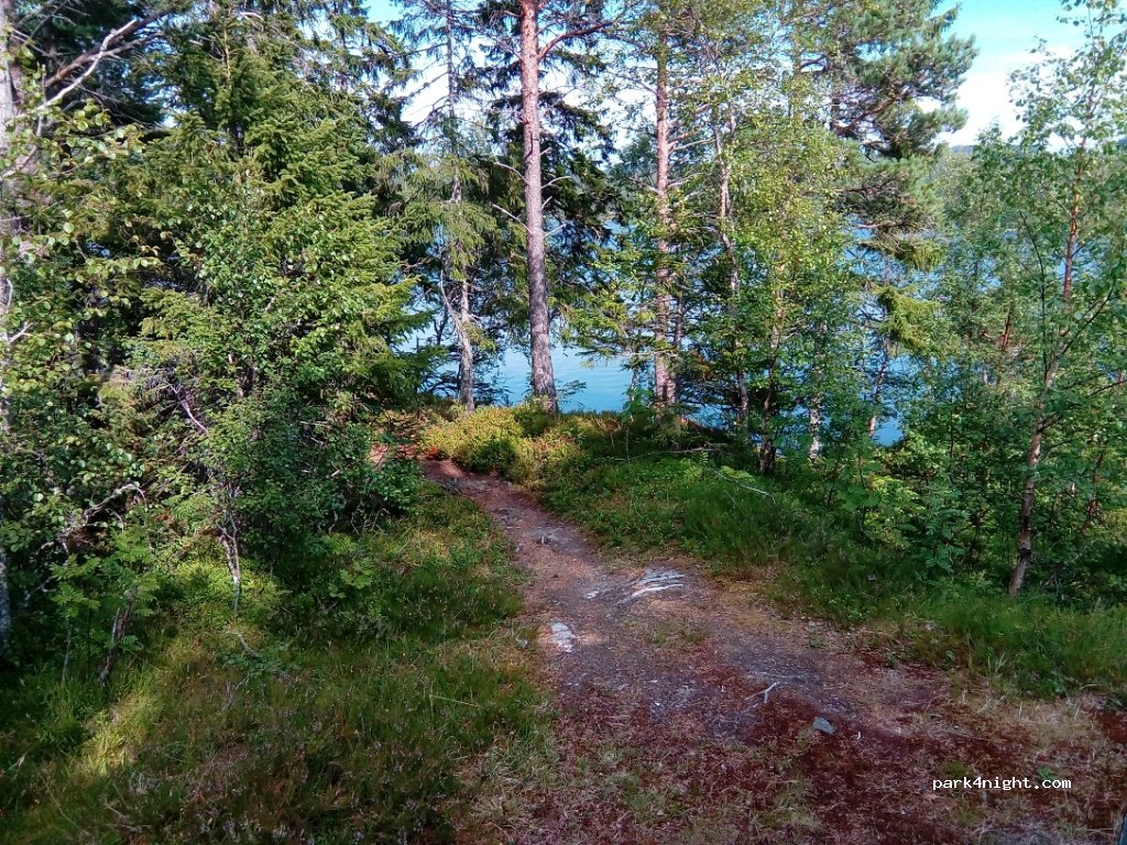(7105)  - 18 Sekundær Fylkesveg 195 — foto