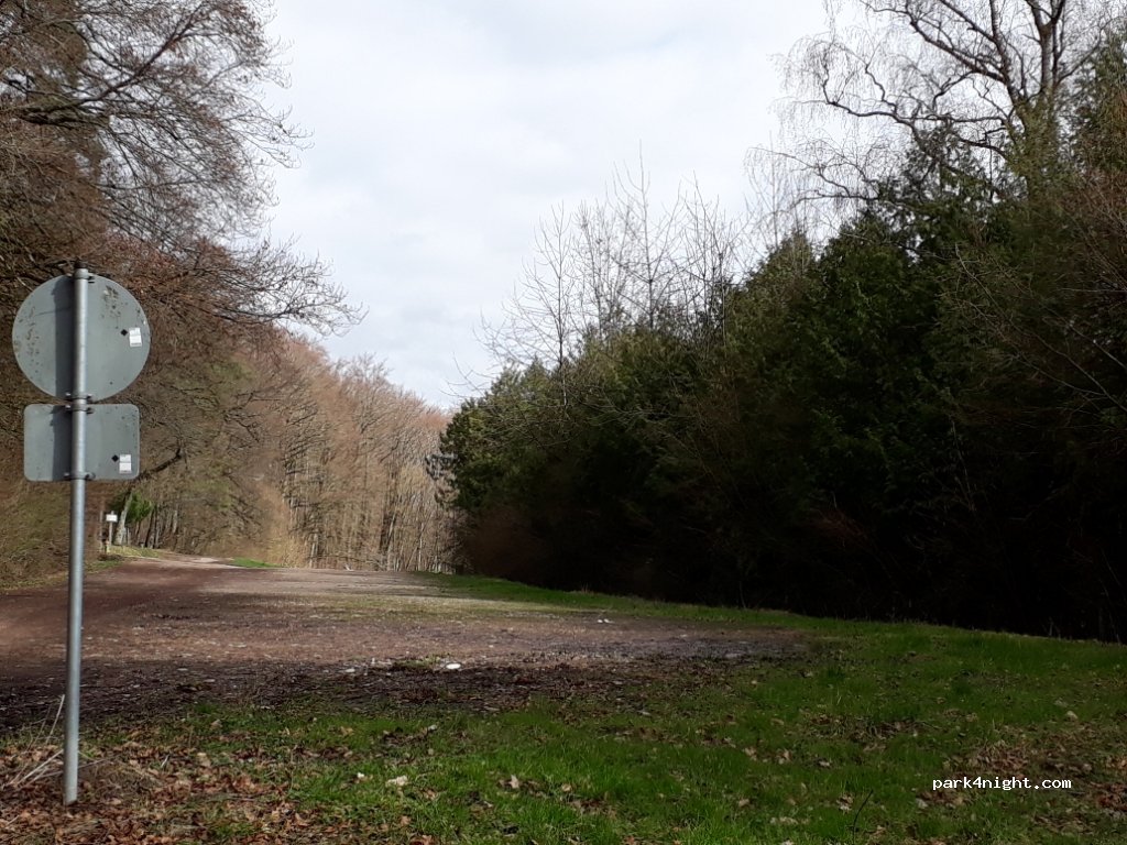 (79585) Steinen - 17 Im Rebgarten — foto