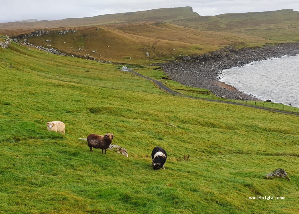 ()  - Søltuvíkar vegur — foto 3