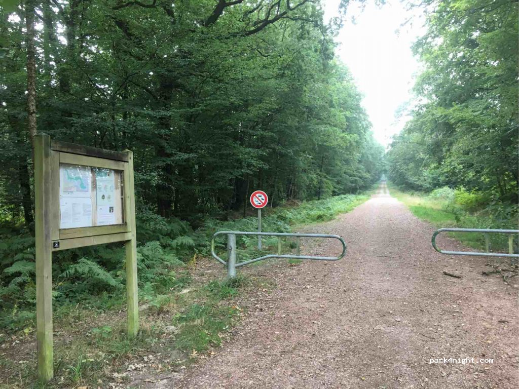(35360) Montauban-de-Bretagne - D262 — foto 3