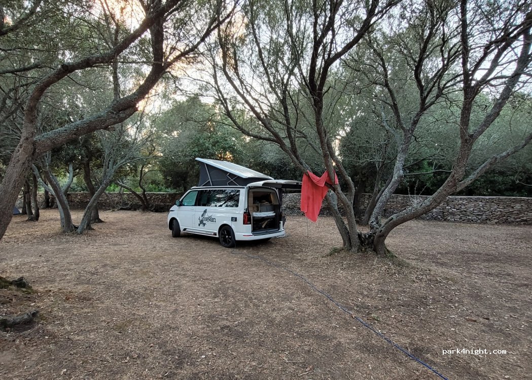 Camping Pomposa — foto 3