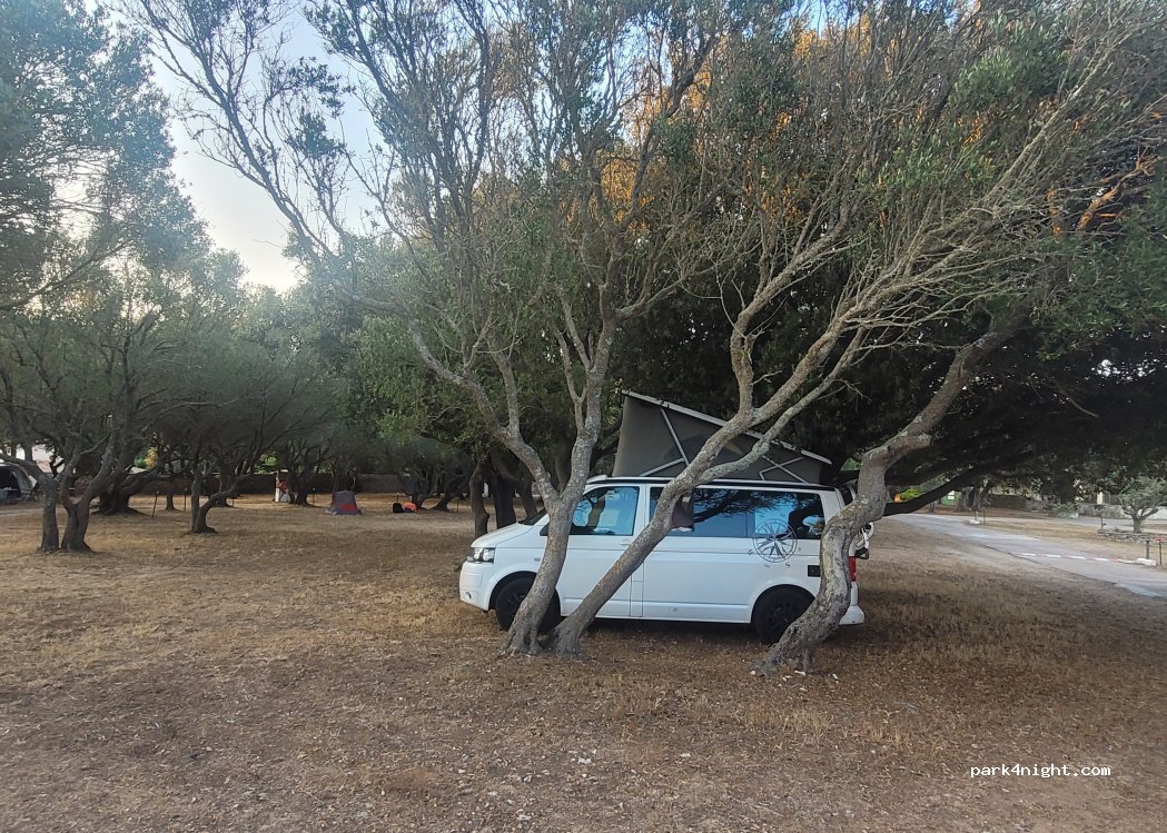 Camping Pomposa — foto 5