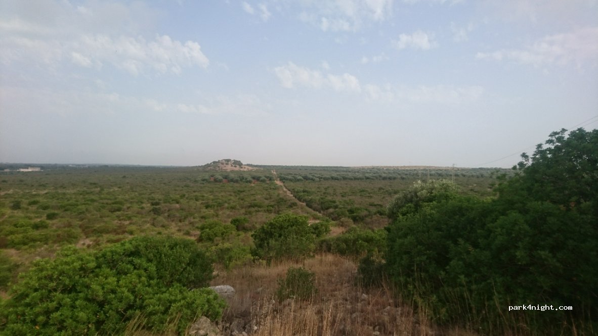(74024) Manduria - Unnamed Road — foto 3