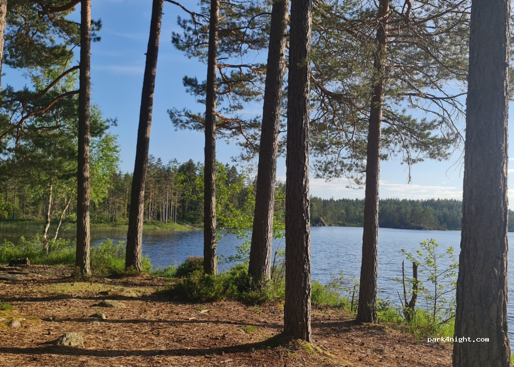 (668 91) Rävmarken - Unnamed Road — foto 4