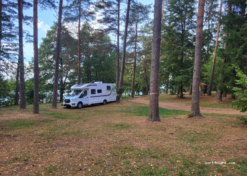 Pole Namiotowe Błyskawica — foto 4