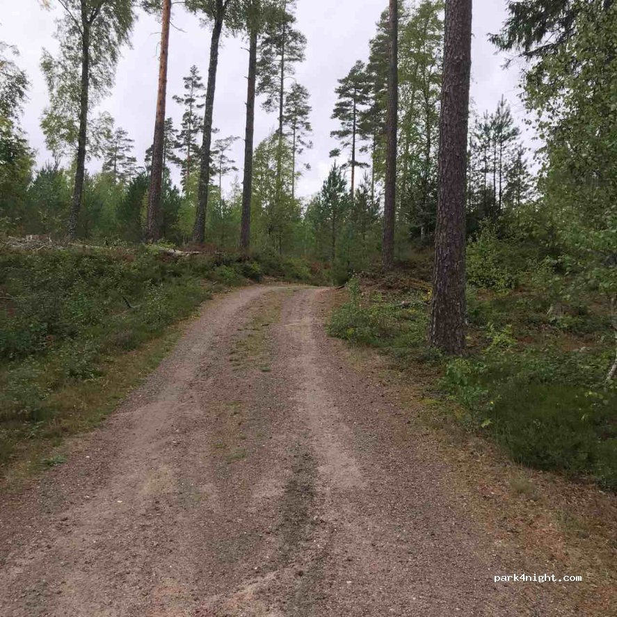 (512 95) - 101 PÅARP — foto 3