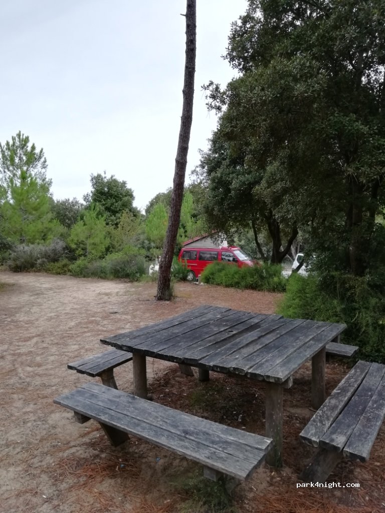 (17190) Saint-Georges-d'Oléron - Forêt des Saumonards — foto 4