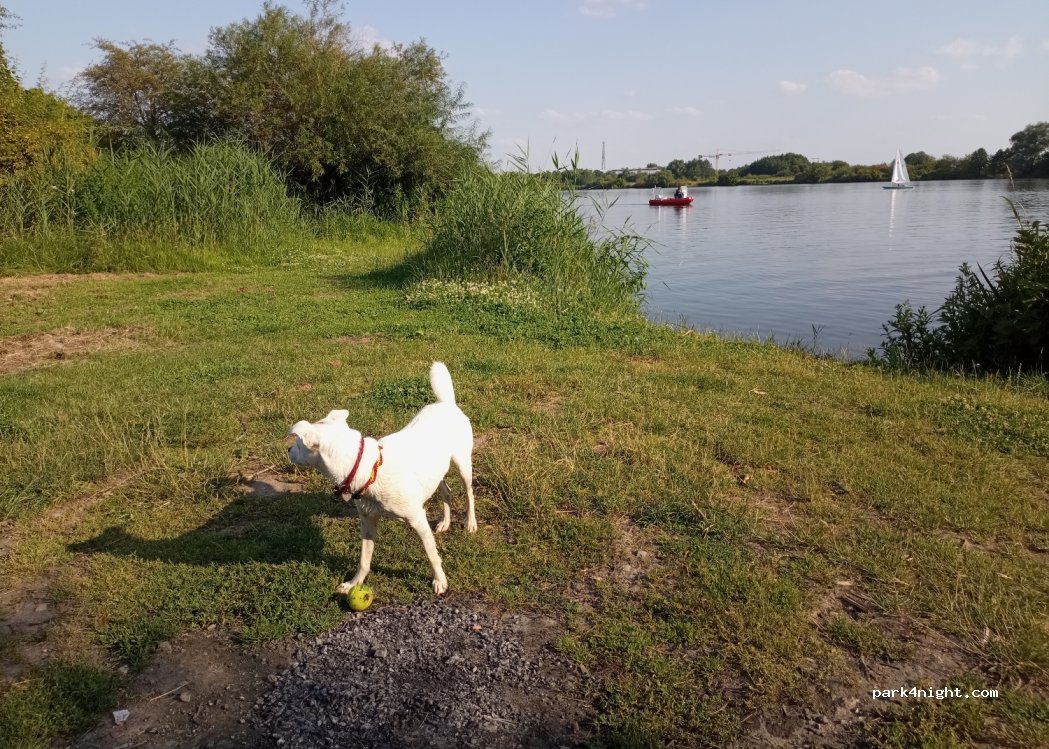 (28309) Bremen - 8 Zum Sporthafen Hemelingen — foto 4