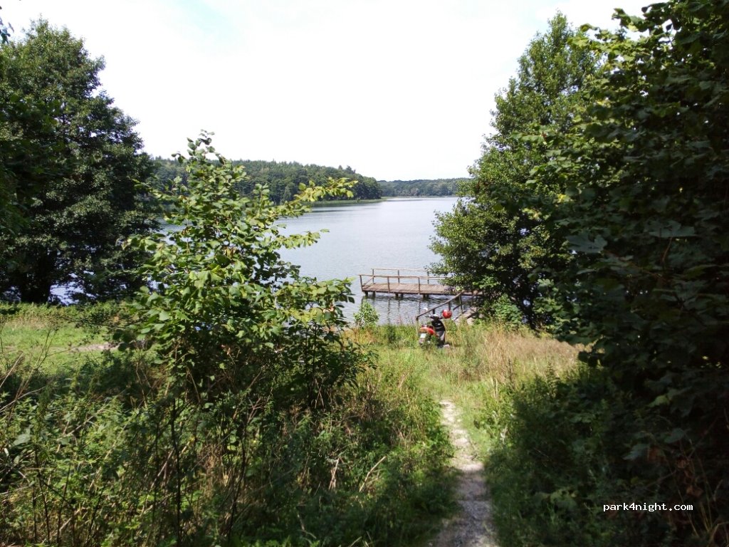 (88-410) Drewno - — foto 2