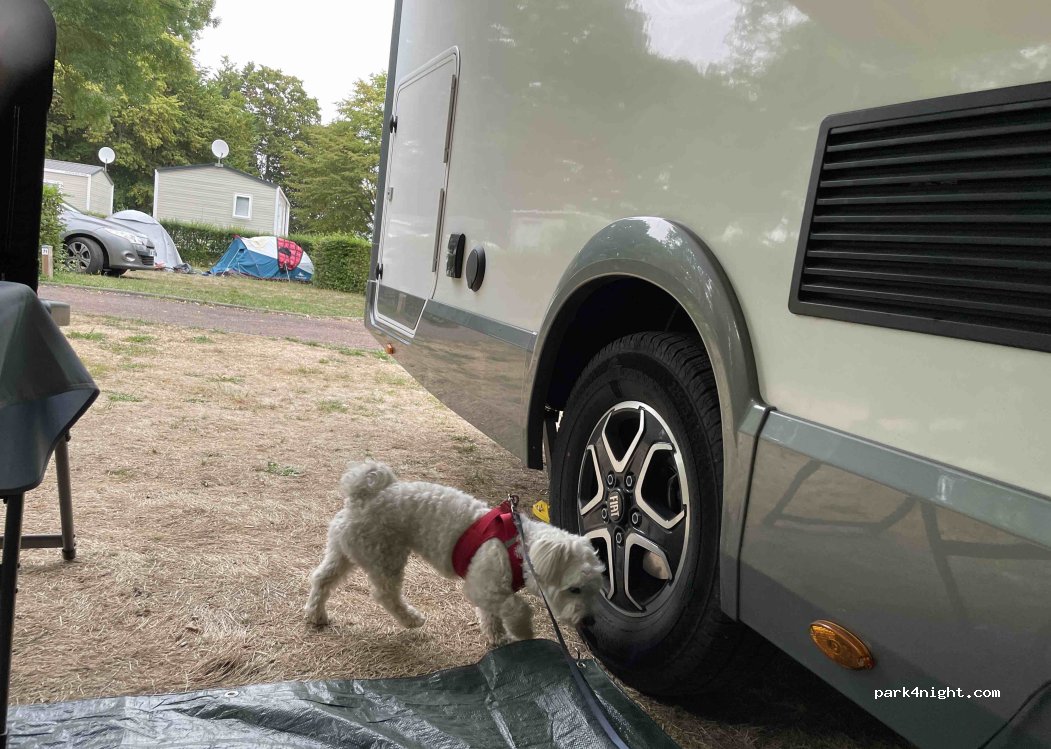 Camping Municipal de l'Hippodrome — foto 5