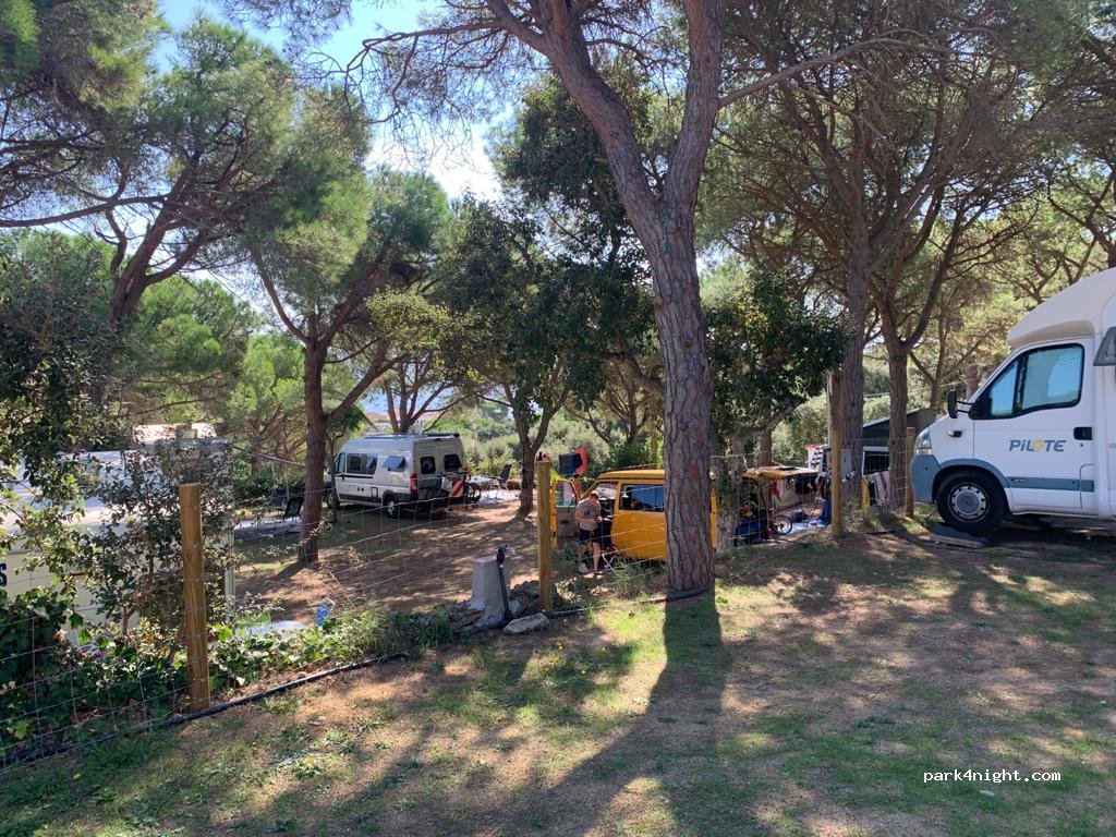 Camping Moby Dick — foto 4