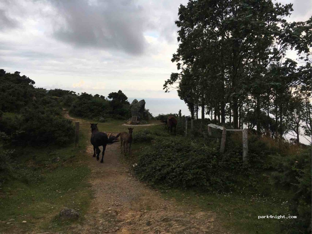 (15358) Cedeira - DP-2205 — foto 3