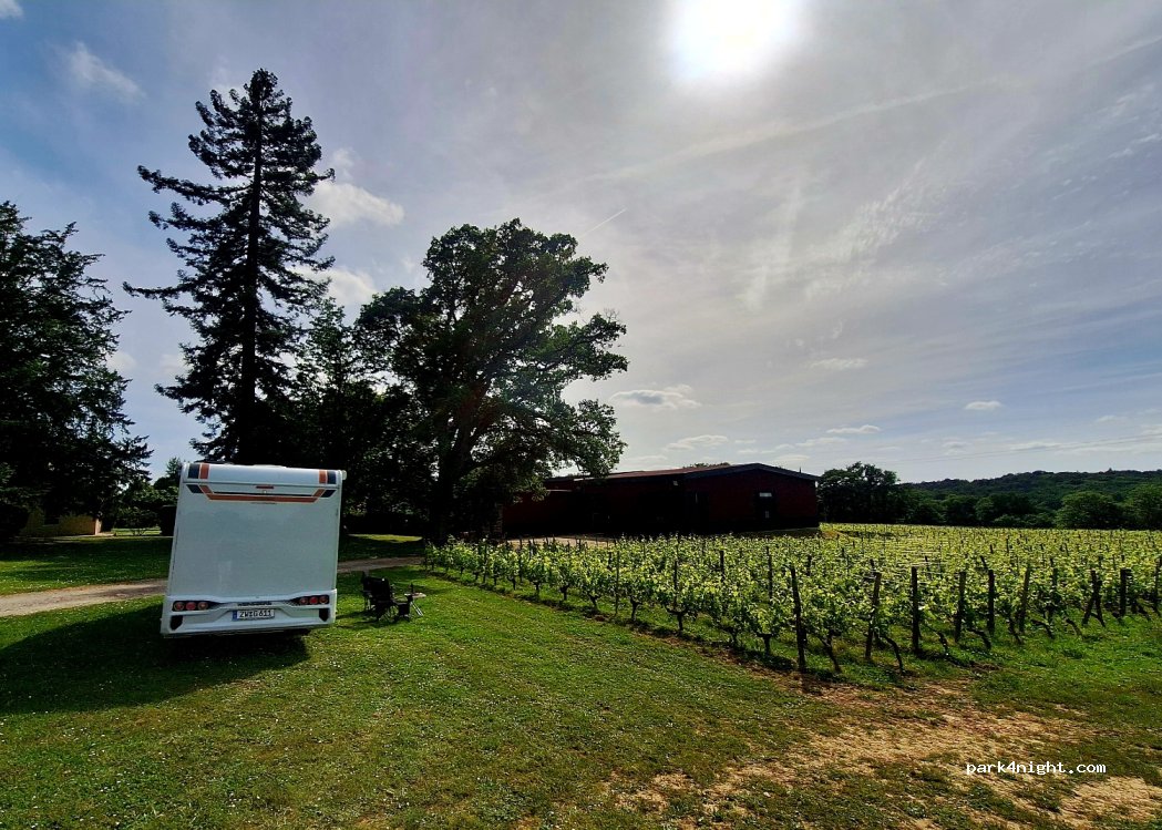 Domaine de la Grave - Vignobles Roche — foto 4