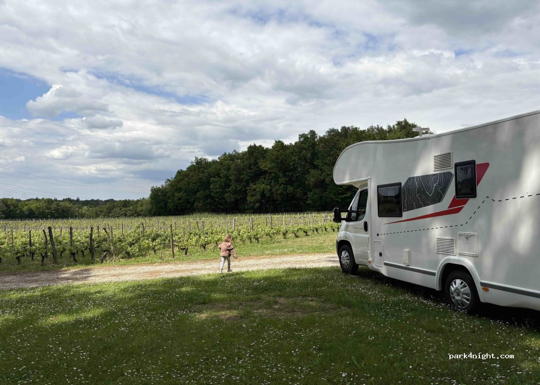 Domaine de la Grave - Vignobles Roche — foto 5