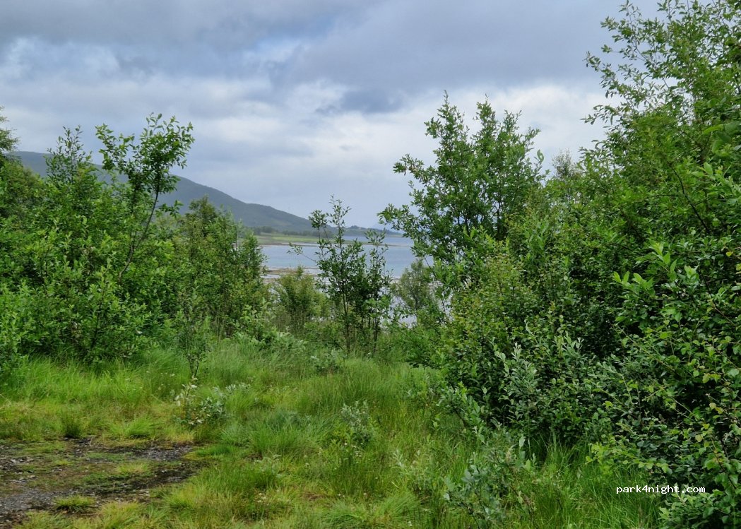 (8400)  - 60 Sekundær Fylkesveg 956 — foto 3