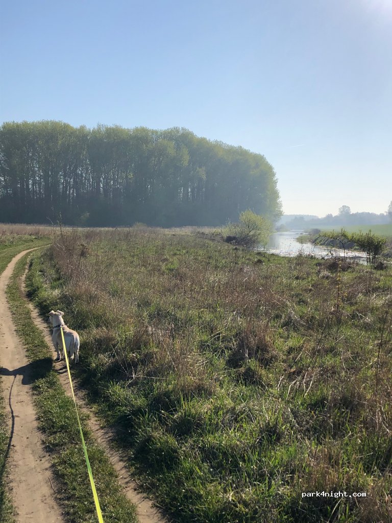 (42-202) Częstochowa - 59A Srebrna — foto 2