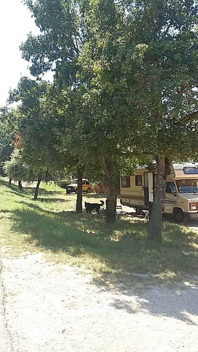 (83470) Saint-Maximin-la-Sainte-Baume - 582 Route de Marseille — foto