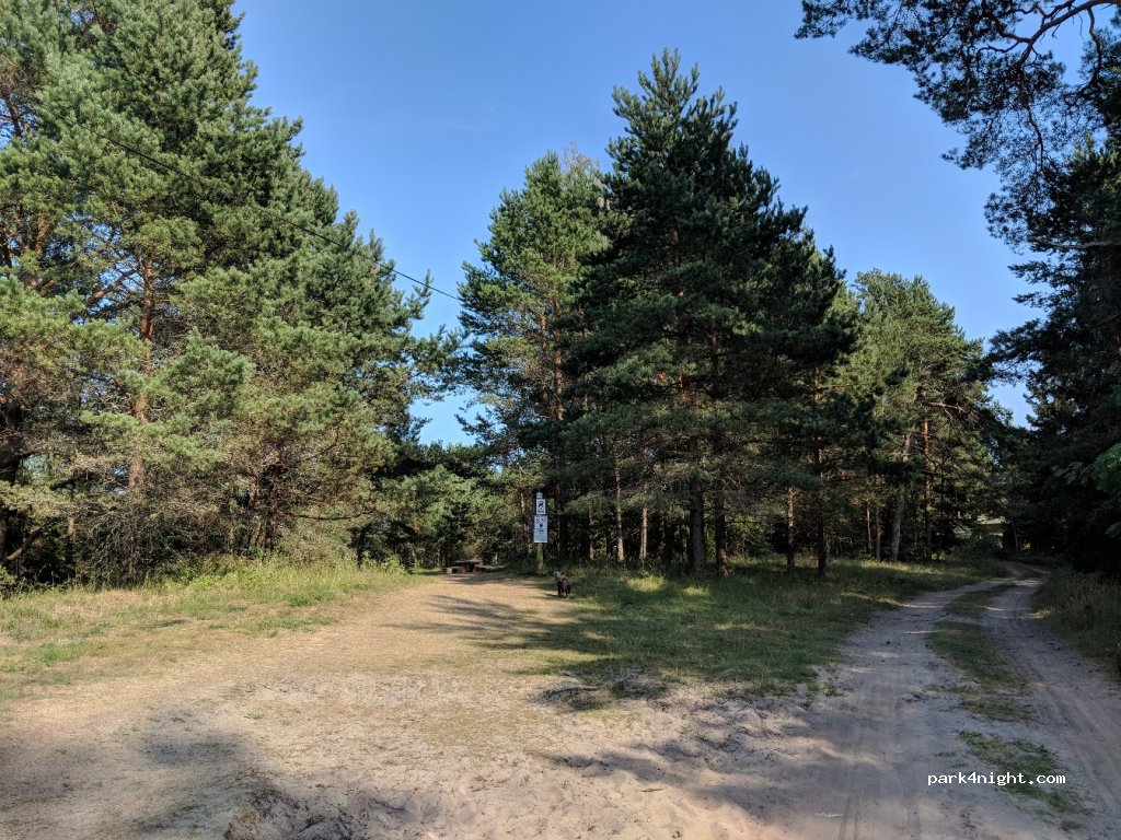(3284) Upesgrīva - P131 — foto 2