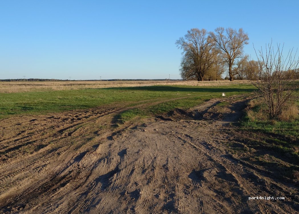 (39524) Sandau (Elbe) - L9 — foto 4